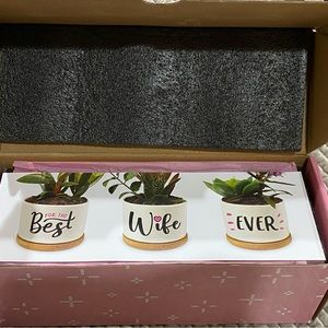 Giftagirl best wife ever succulent pot gift